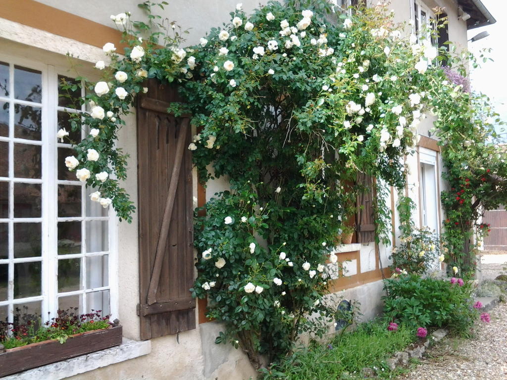 Forest Farm Bois-Jerome-Saint-Ouen Экстерьер фото